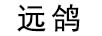 遠鴿