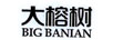 大榕樹(shù)（BIG BANIAN）