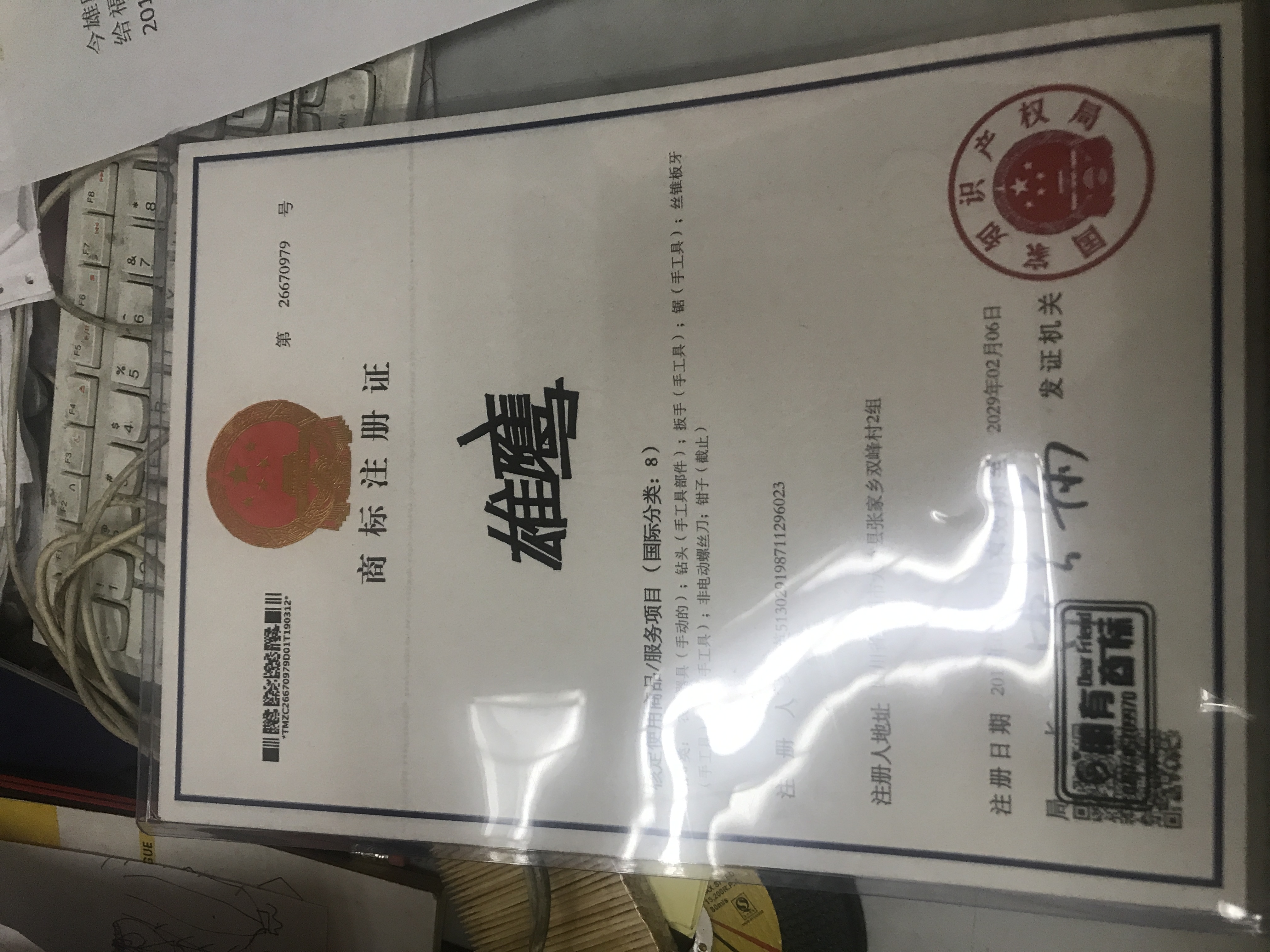 雄鷹