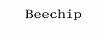 BEECHIP
