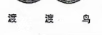 渡渡鳥(niǎo)