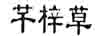 芊梓草