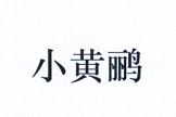 小黃鸝