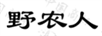 野農(nóng)人
