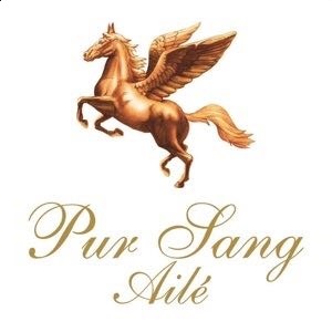 飛馬莊