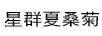 星群夏桑菊