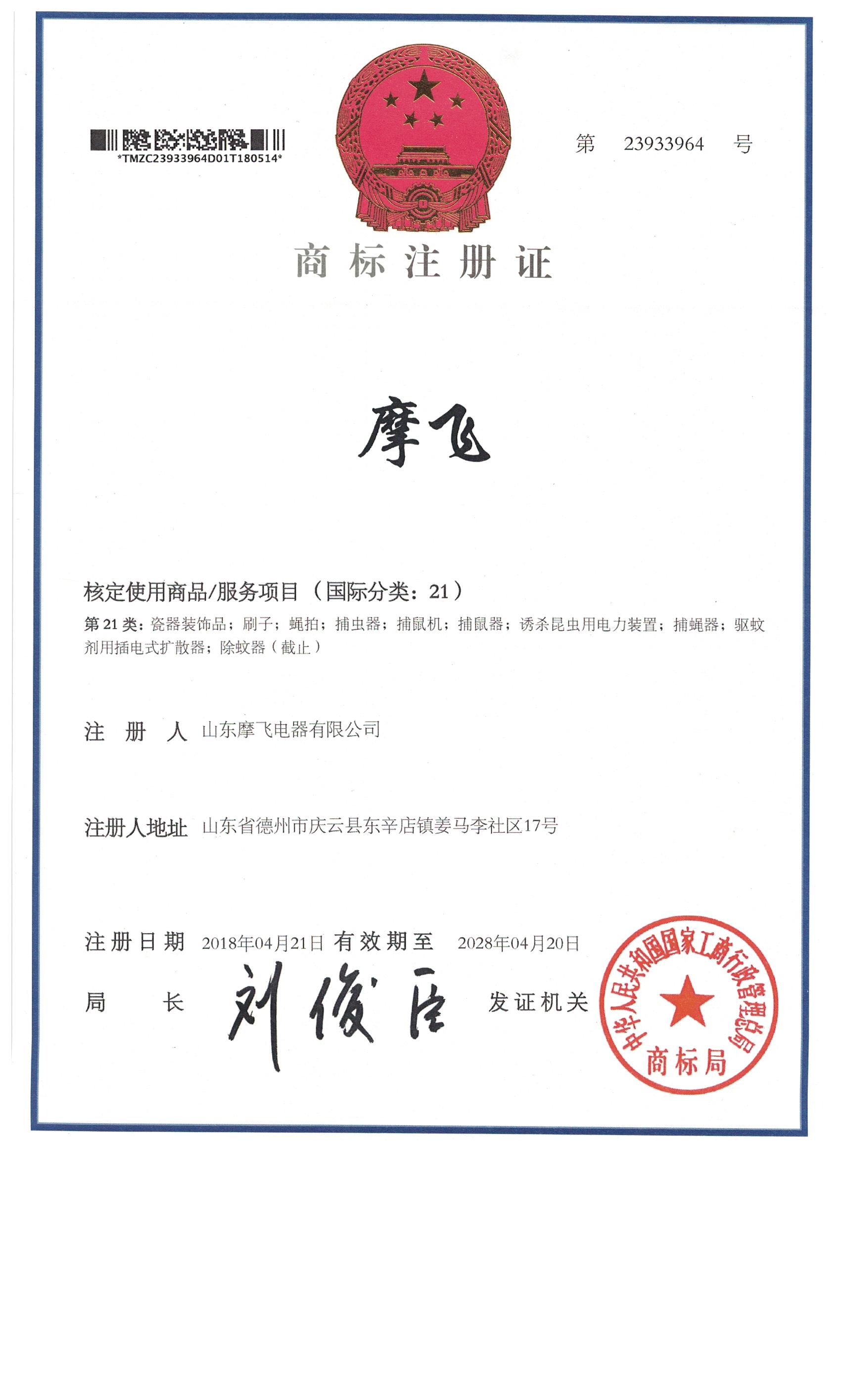 摩飛