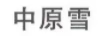 中原雪