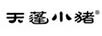 天蓬小豬