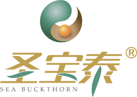 圣寶泰