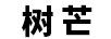 樹芒
