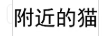 附近的貓