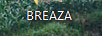 BREAZA