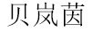 貝嵐茵（BEILANYIN）
