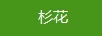 杉花