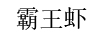 霸王蝦