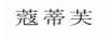 蔻蒂芙