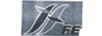 FE