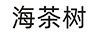 海茶樹(shù)