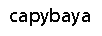 CAPYBARA