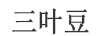 三葉豆