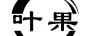 葉果
