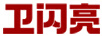 衛閃亮