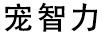寵智力