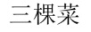 三棵菜