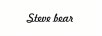 STEVE BEAR