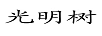 光明樹