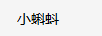 小蝌蚪