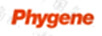 Phygene