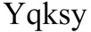 Yqksy