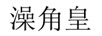 澡角皇