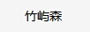 竹嶼森