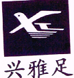 興雅足