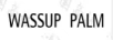 WASSUP PALM