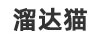 溜達貓