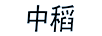 中稻