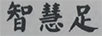 智慧足