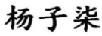 楊子柒