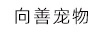 向善