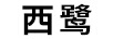 西鷺
