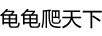 龜龜爬天下