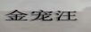 金寵汪