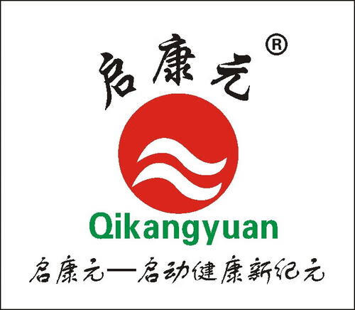 啟康元
