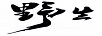 野生