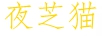 夜芝貓