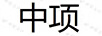 中項(xiàng)